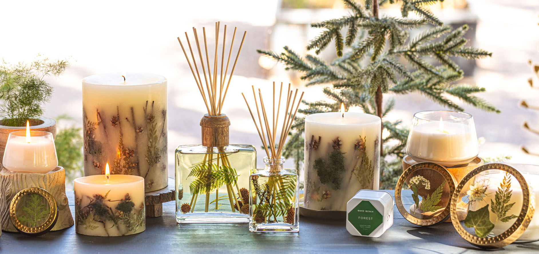 Fresh + Woody Fragrances Rosy Rings