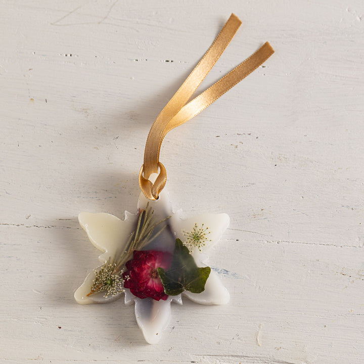 Spicy Apple Snowflake Botanical Sachet-Candles 1 of 6