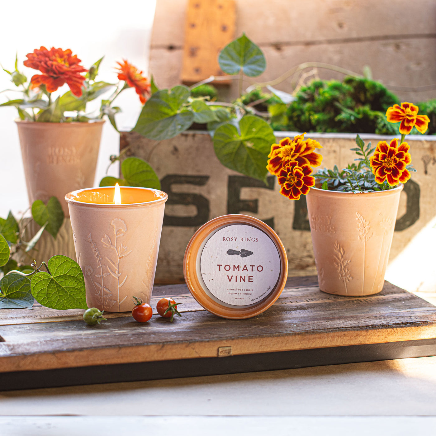 Basil Orange Garden Pot Candle + Plantable Seed Paper Dust Covers