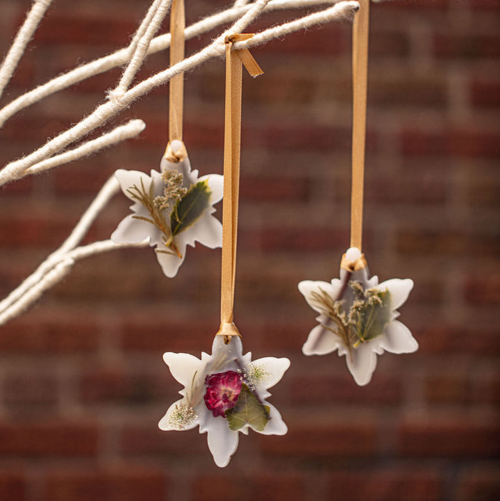 Spicy Apple Snowflake Botanical Sachet-Candles 3 of 6