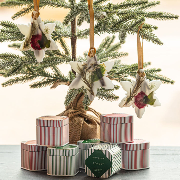 Spicy Apple Snowflake Botanical Sachet-Candles 5 of 6
