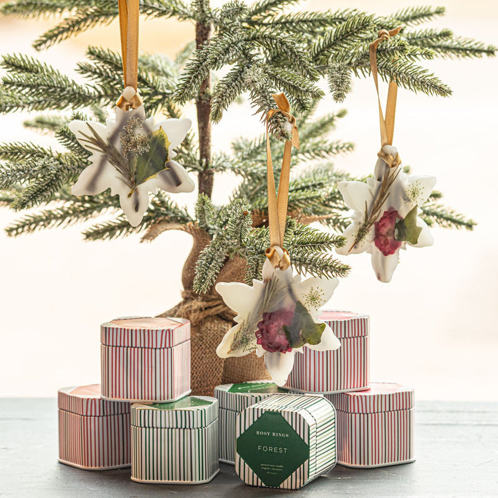 Spicy Apple Snowflake Botanical Sachet-Candles 6 of 6