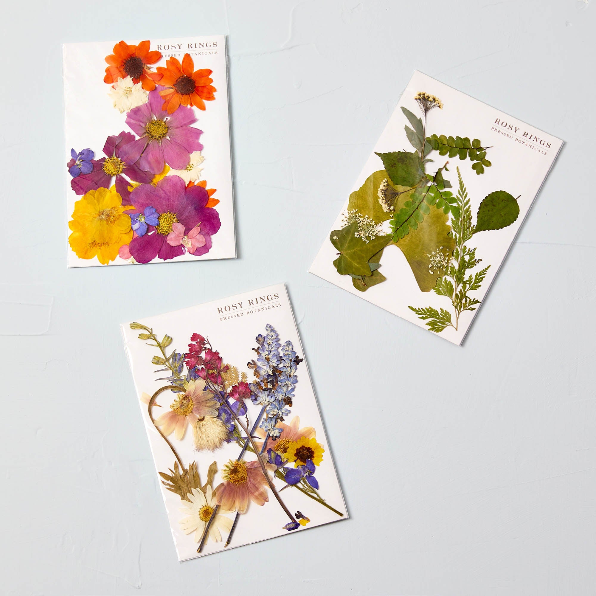 Pressed Floral Packets – Rosy Rings