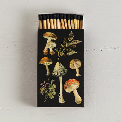 Mushrooms Matchbox - 4"