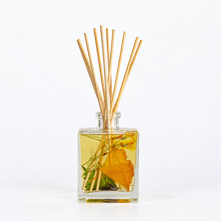 Accent Botanical Reed Diffuser - Harvest Pumpkin 1 of 5