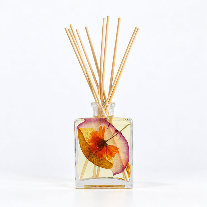 Accent Botanical Reed Diffuser - Sugared Citrus-4oz Botanical Diffuser 1 of 7