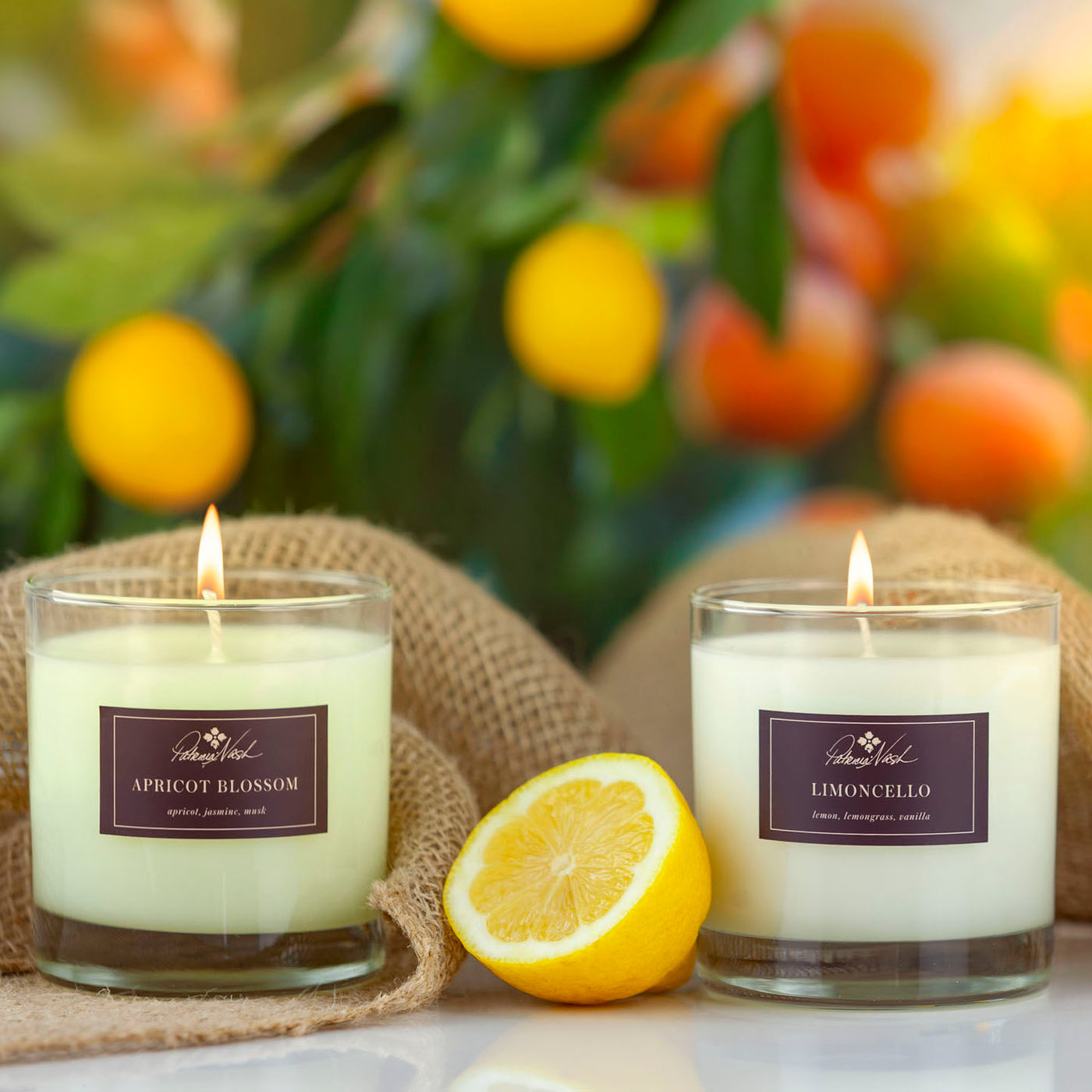 Patricia Nash Limoncello Candle