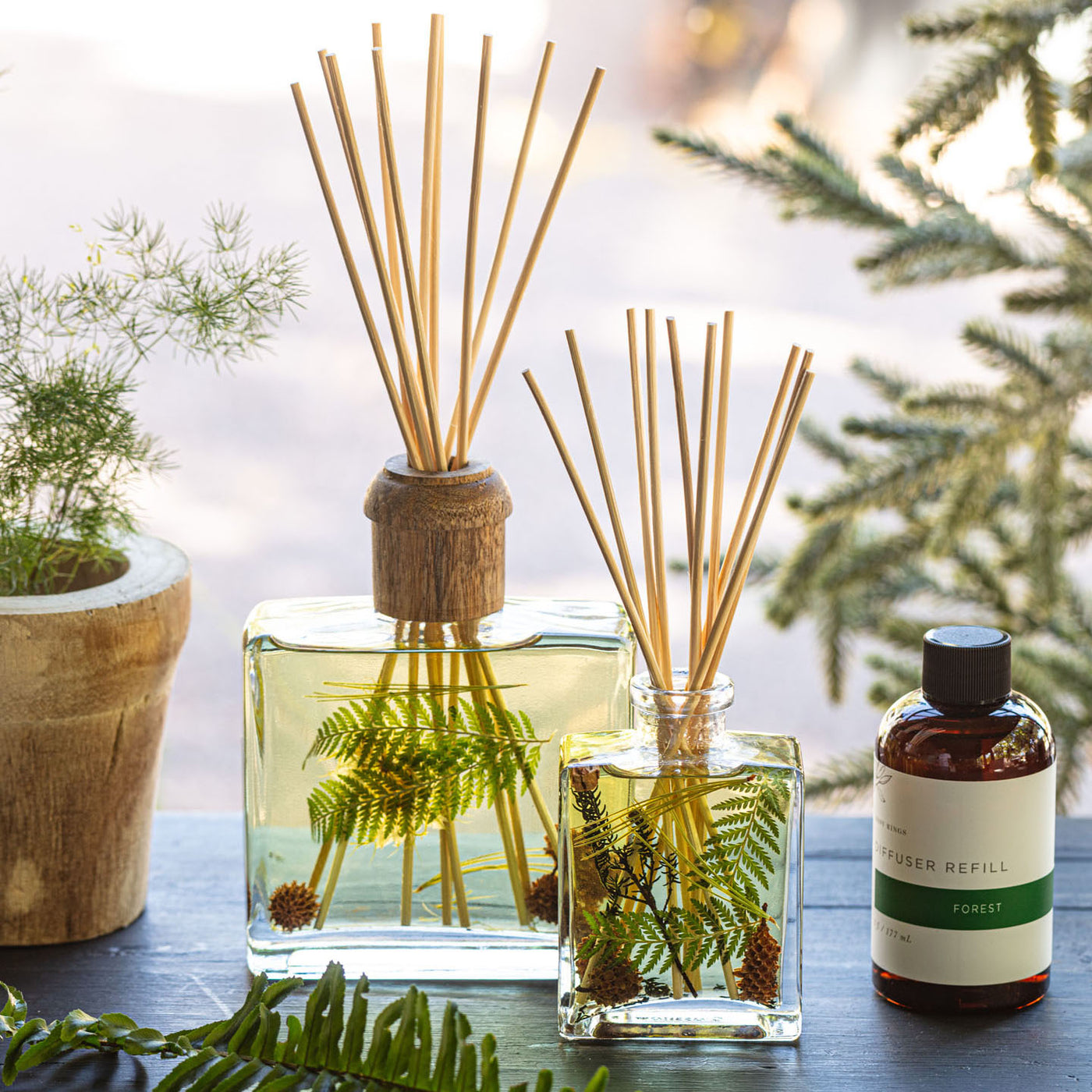 Lemon Leaf Reed Diffuser Refill | Thymes