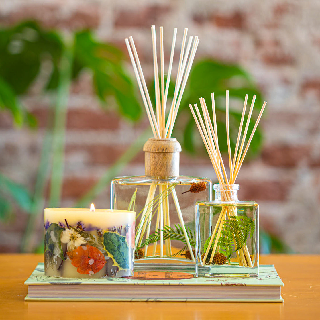 Accent Botanical Reed Diffuser - Forest – Rosy Rings