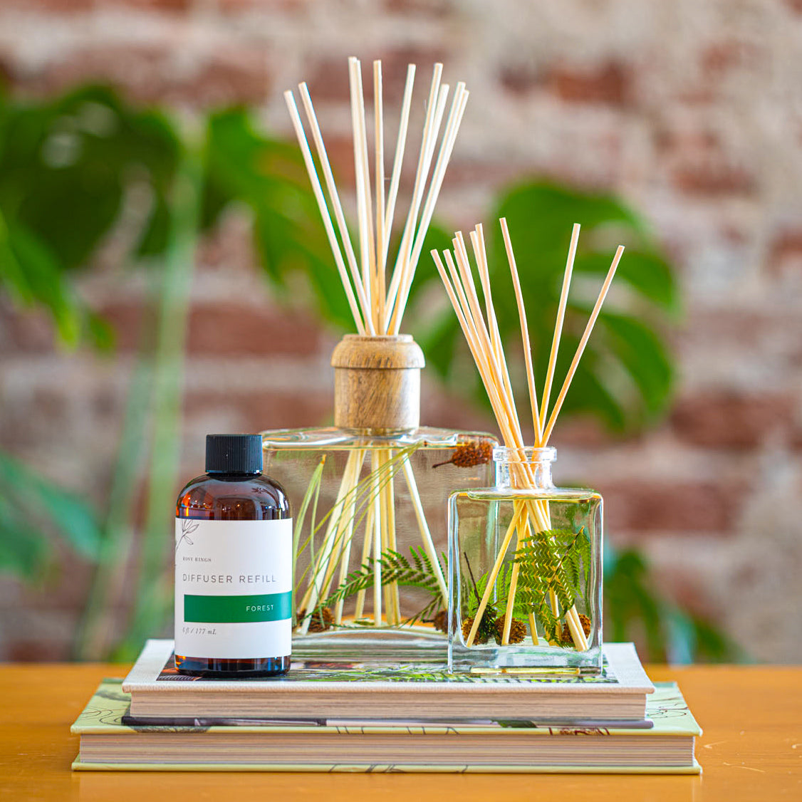 Accent Botanical Reed Diffuser - Forest – Rosy Rings