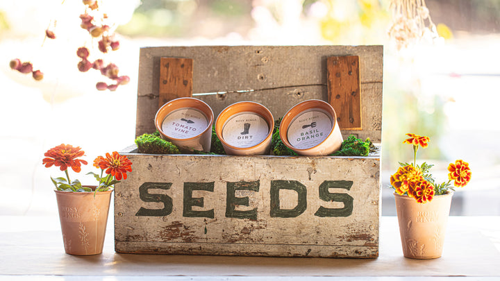 Wild Plum + Cannabis Garden Pot Candle- 3 of 5