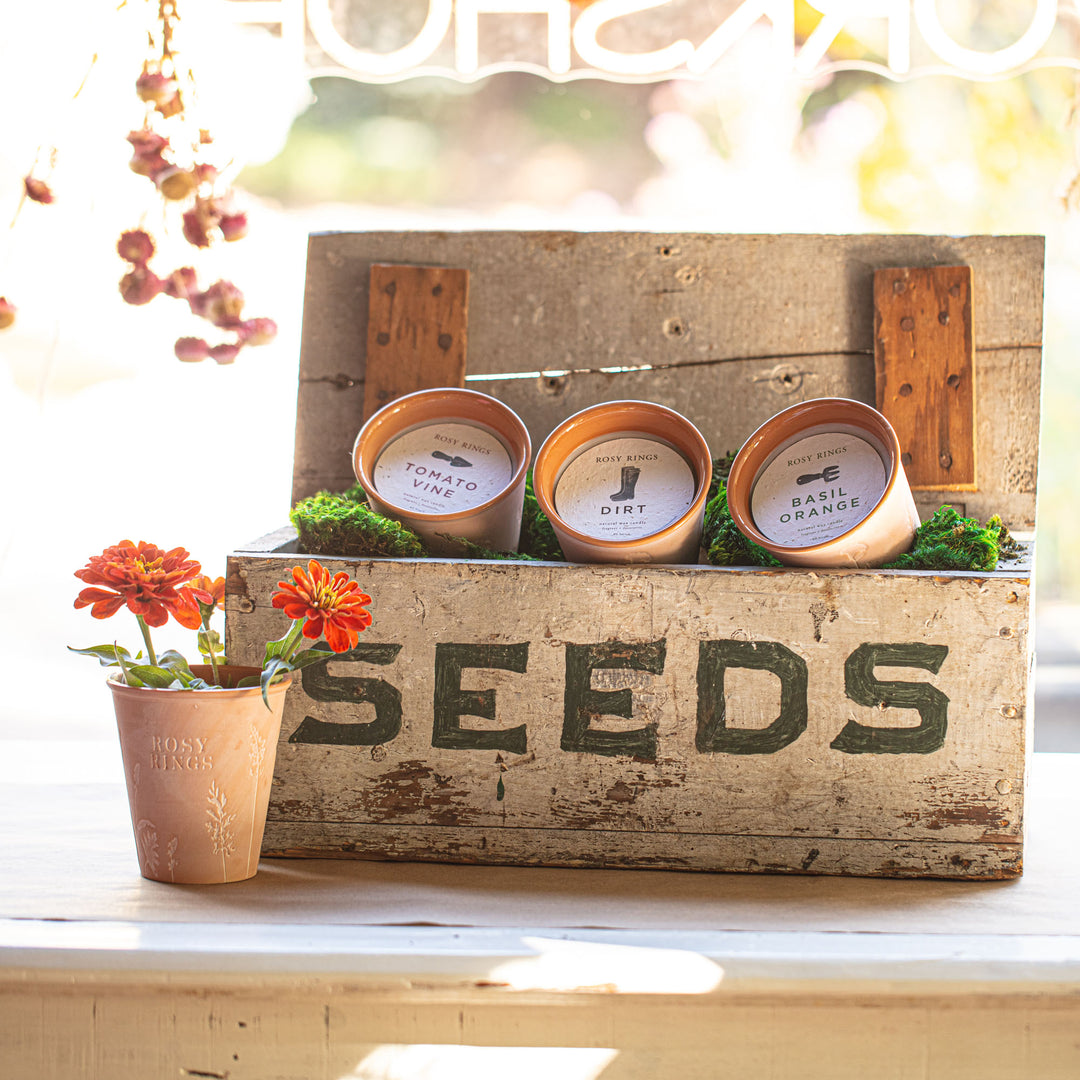 pothead planters candles Basil Orange Garden Pot Candle + Plantable Seed Paper Dust Covers
