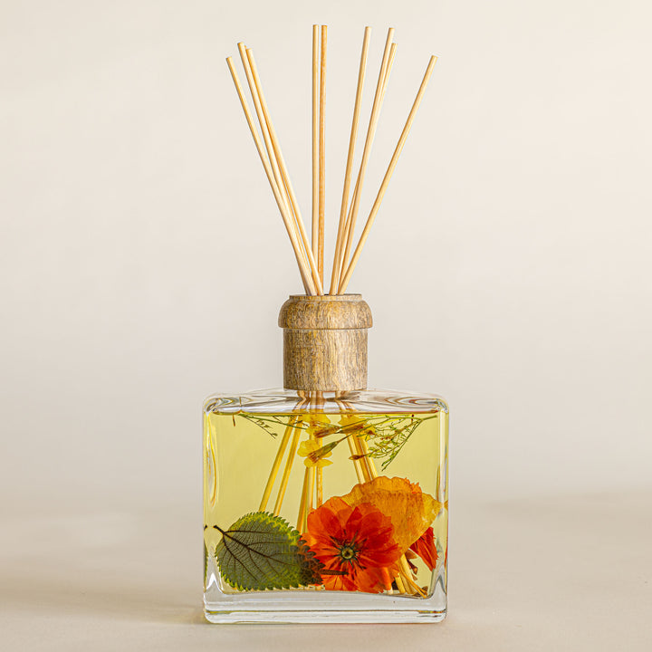Signature Botanical Reed Diffuser - Harvest Pumpkin-13oz Botanical Diffuser 1 of 3