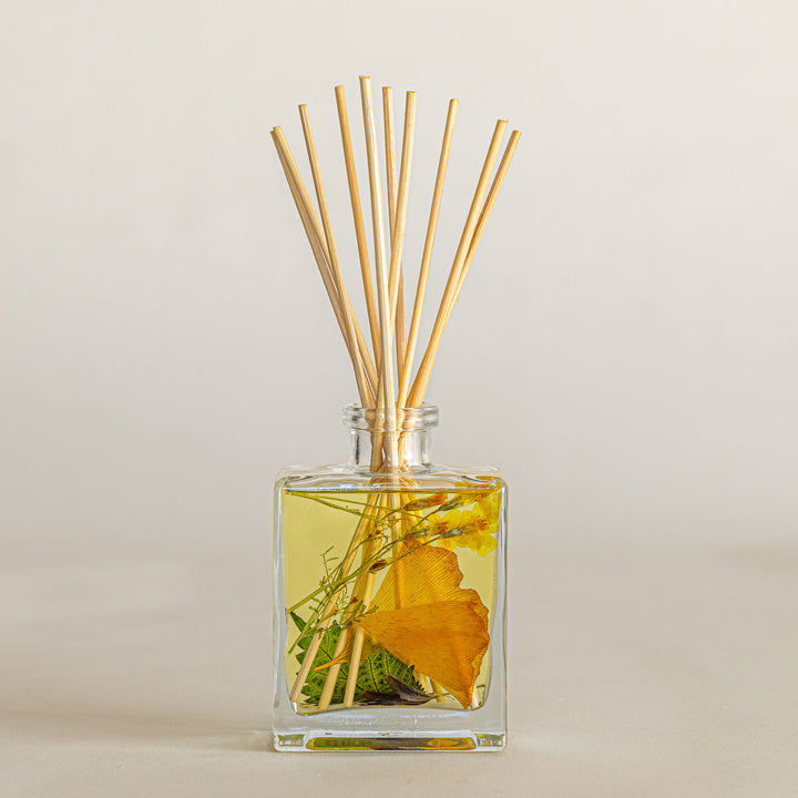 Accent Botanical Reed Diffuser - Harvest Pumpkin- 1 of 3