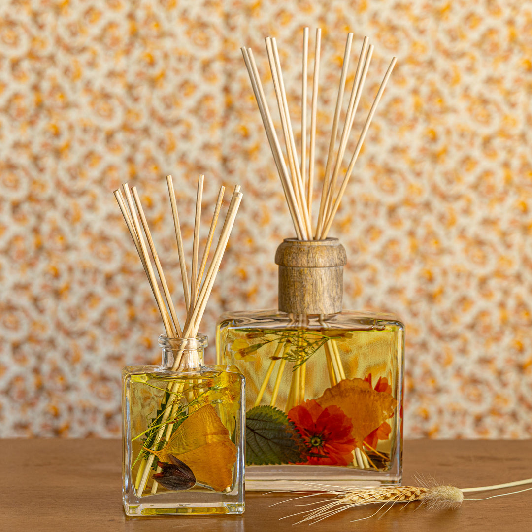 Accent Botanical Reed Diffuser - Harvest Pumpkin-