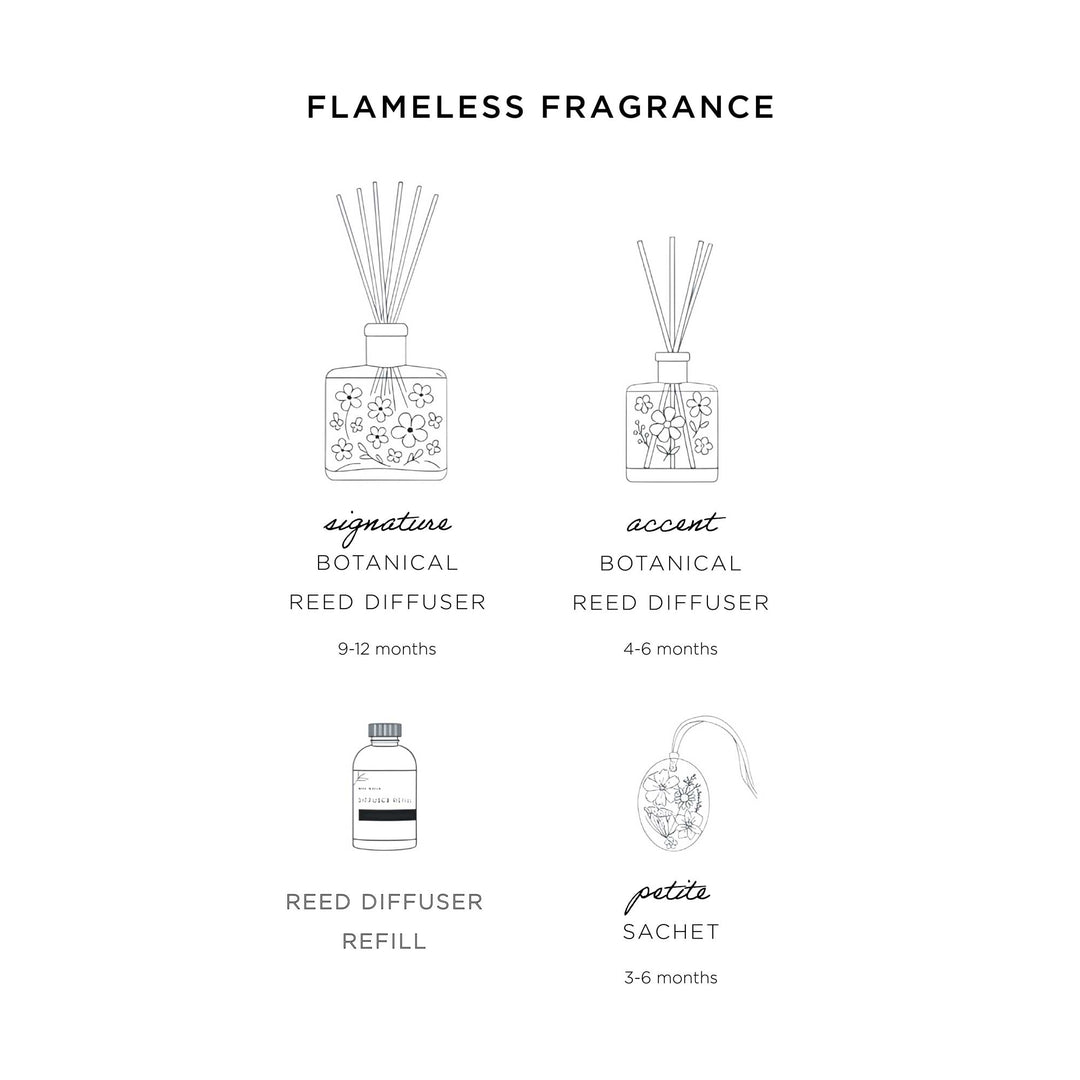 Signature Botanical Reed Diffuser - Sugared Citrus-13oz Botanical Diffuser