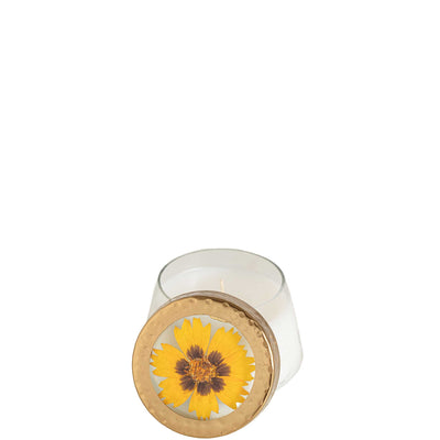 Honey Tobacco Small Pressed Floral Candle
