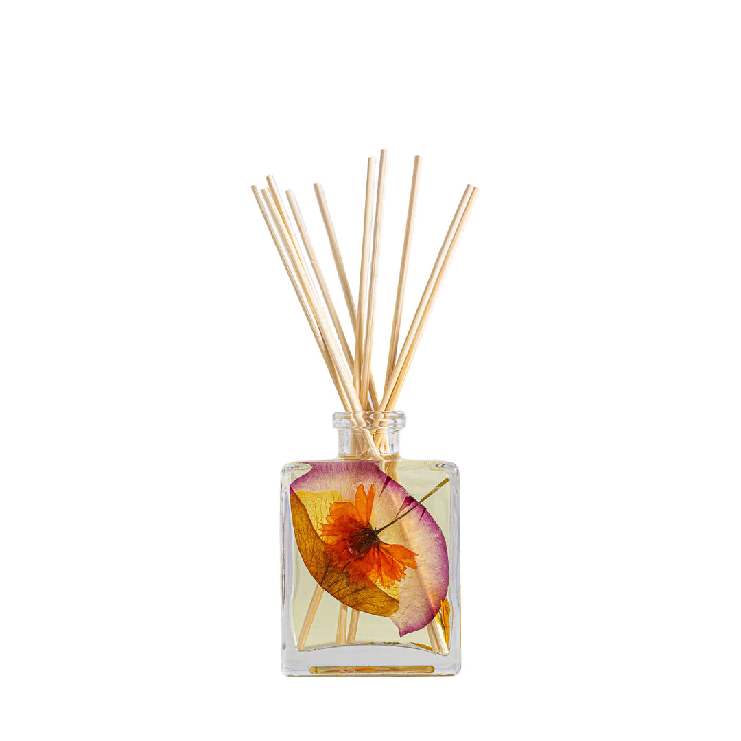 Accent Botanical Reed Diffuser - Sugared Citrus-4oz Botanical Diffuser