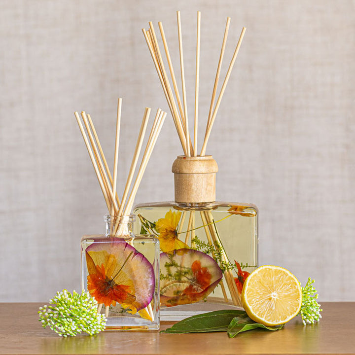 Accent Botanical Reed Diffuser - Sugared Citrus-4oz Botanical Diffuser 4 of 8