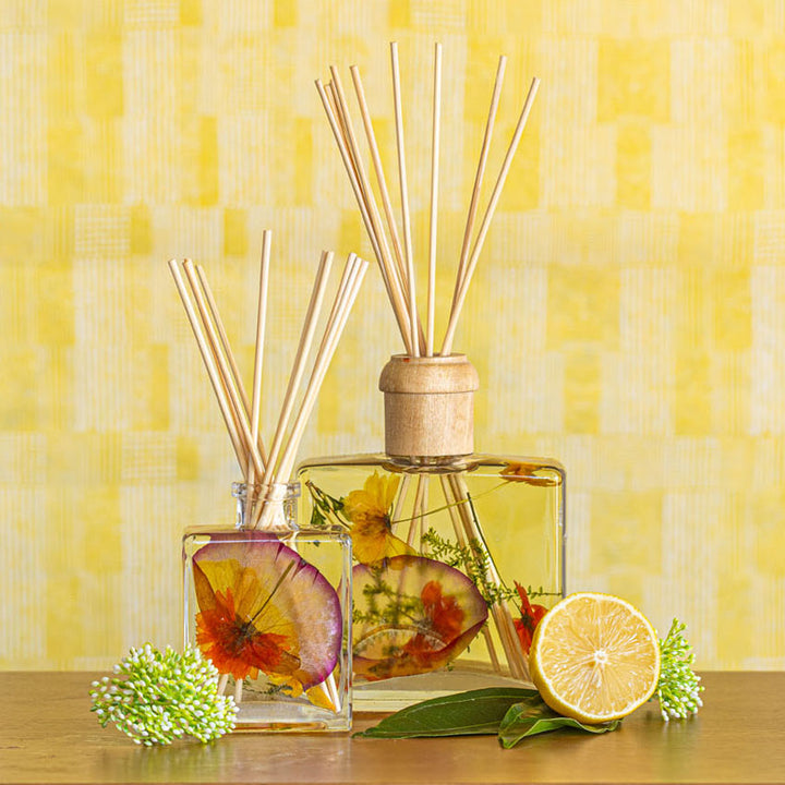 Accent Botanical Reed Diffuser - Sugared Citrus-4oz Botanical Diffuser 5 of 8