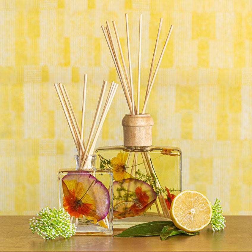Signature Botanical Reed Diffuser - Sugared Citrus-13oz Botanical Diffuser