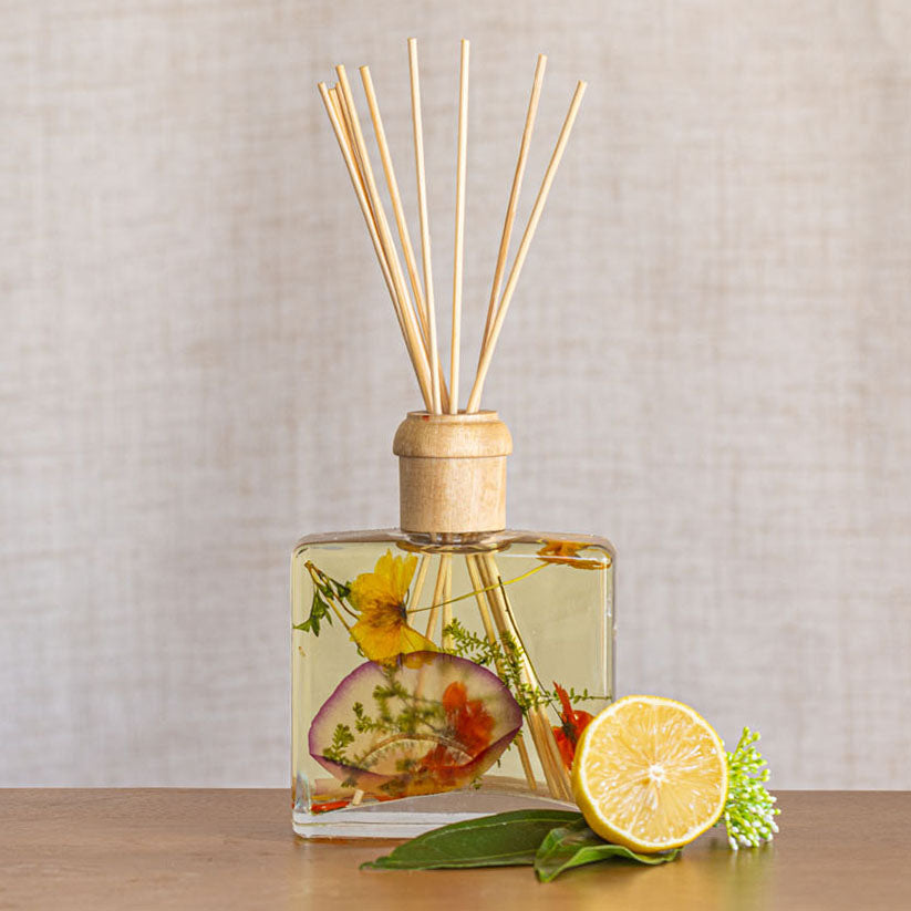 Signature Botanical Reed Diffuser - Sugared Citrus-13oz Botanical Diffuser
