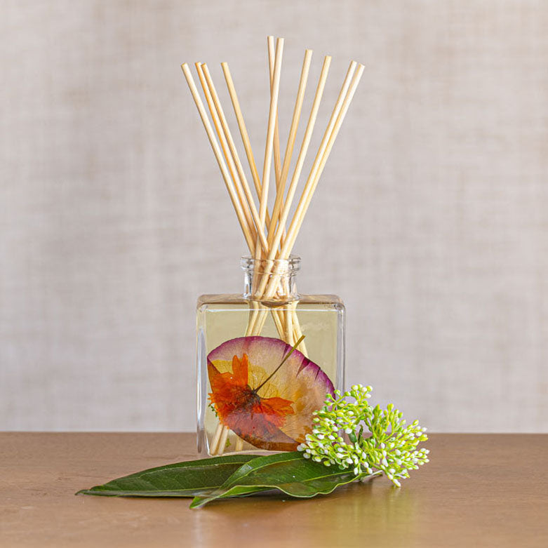 Accent Botanical Reed Diffuser - Sugared Citrus-4oz Botanical Diffuser