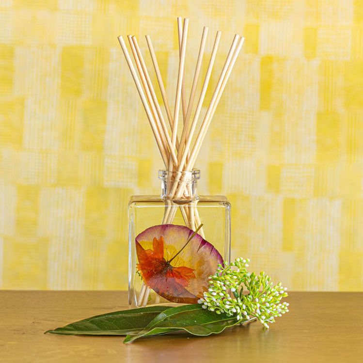 Accent Botanical Reed Diffuser - Sugared Citrus-4oz Botanical Diffuser