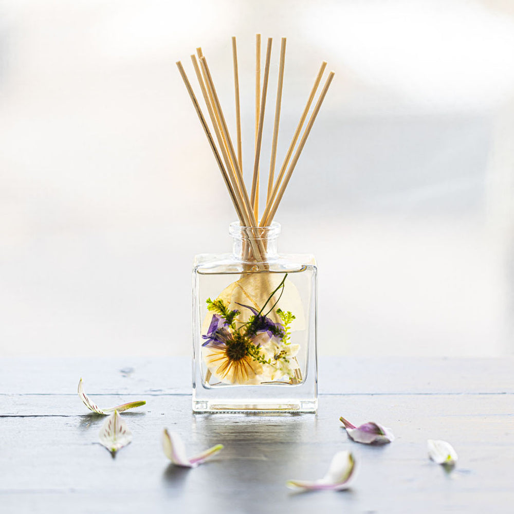 Accent Botanical Reed Diffuser - Vanilla Rain-4oz Botanical Diffuser