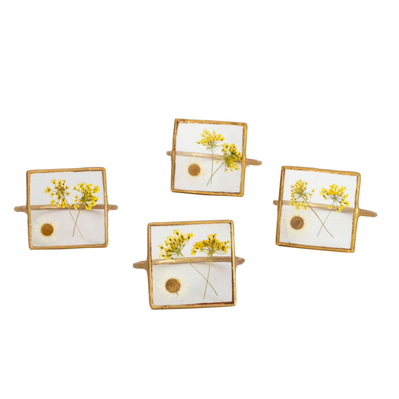 Queen Anne's Lace Square Pressed Floral Napkin Ring Set