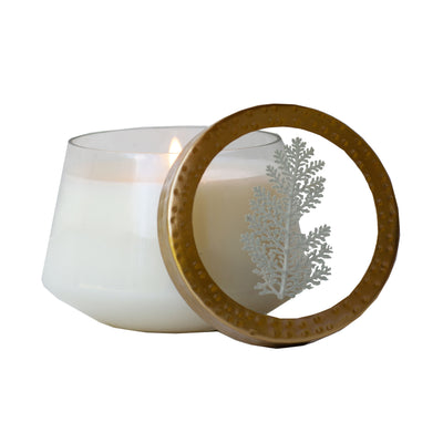 Frosted Juniper Medium Pressed Floral Candle