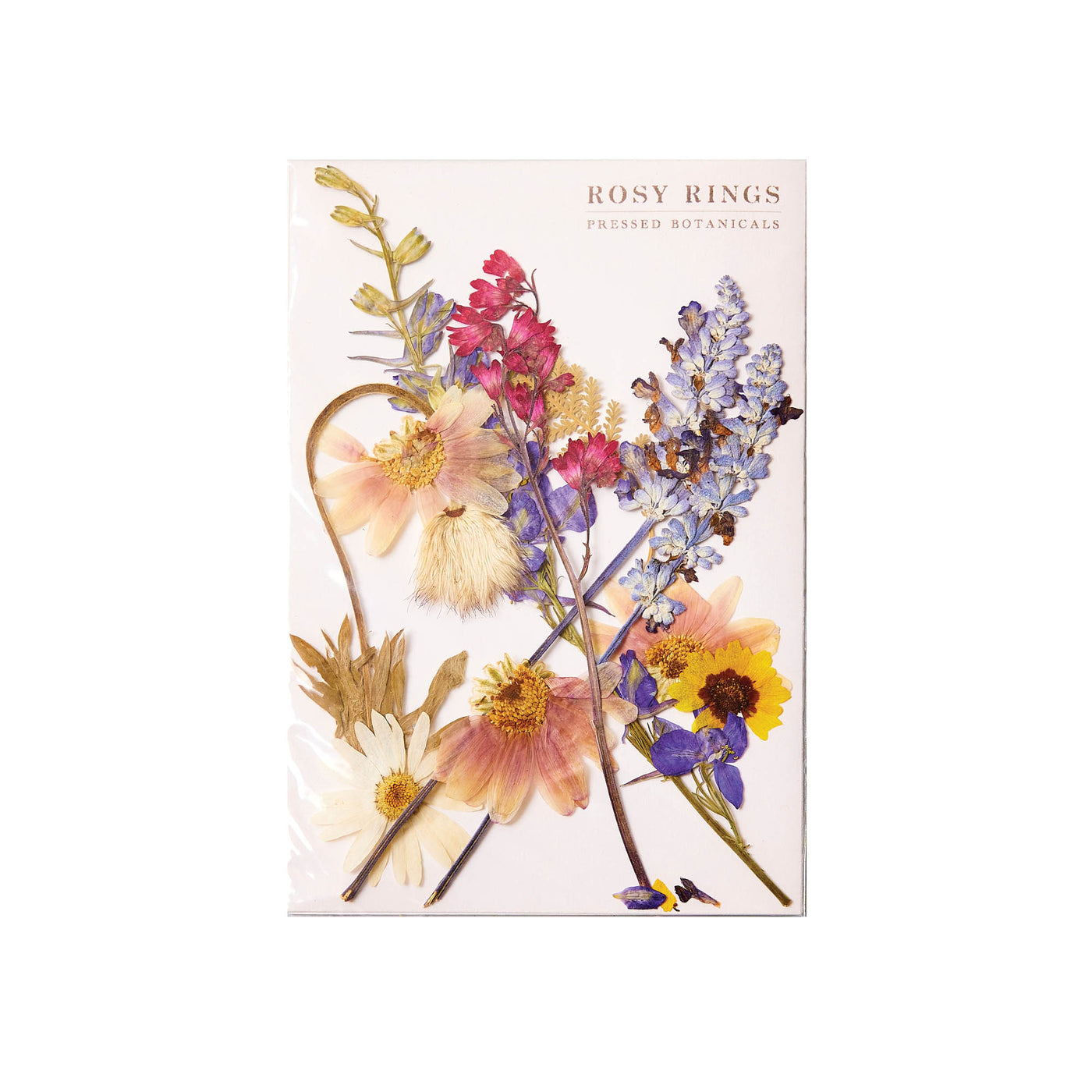 Rocky Mountain Wildflower Mix Large Pressed Floral Packet