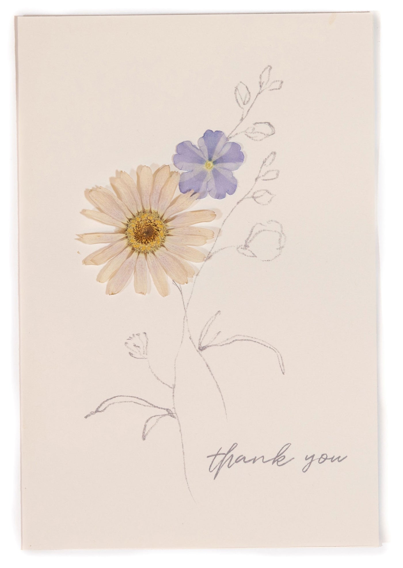 Thank You - Verbena Pressed Floral Stationery